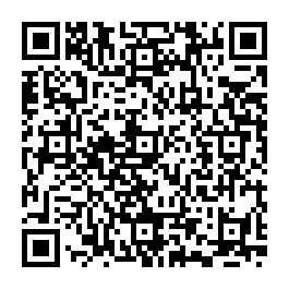 Partagez la fiche de la sépulture de ECK SCHMITT Elise avec ce QRCode