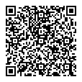 Partagez la fiche de la sépulture de MICHEL  Théo avec ce QRCode