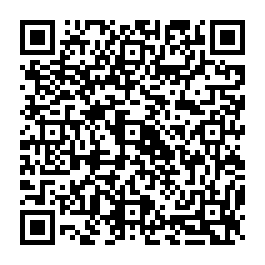 Partagez la fiche de la sépulture de DENIZON   avec ce QRCode