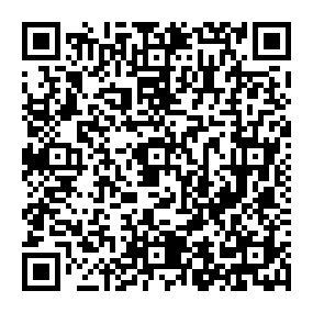 Partagez la fiche de la sépulture de RHEIN  François avec ce QRCode