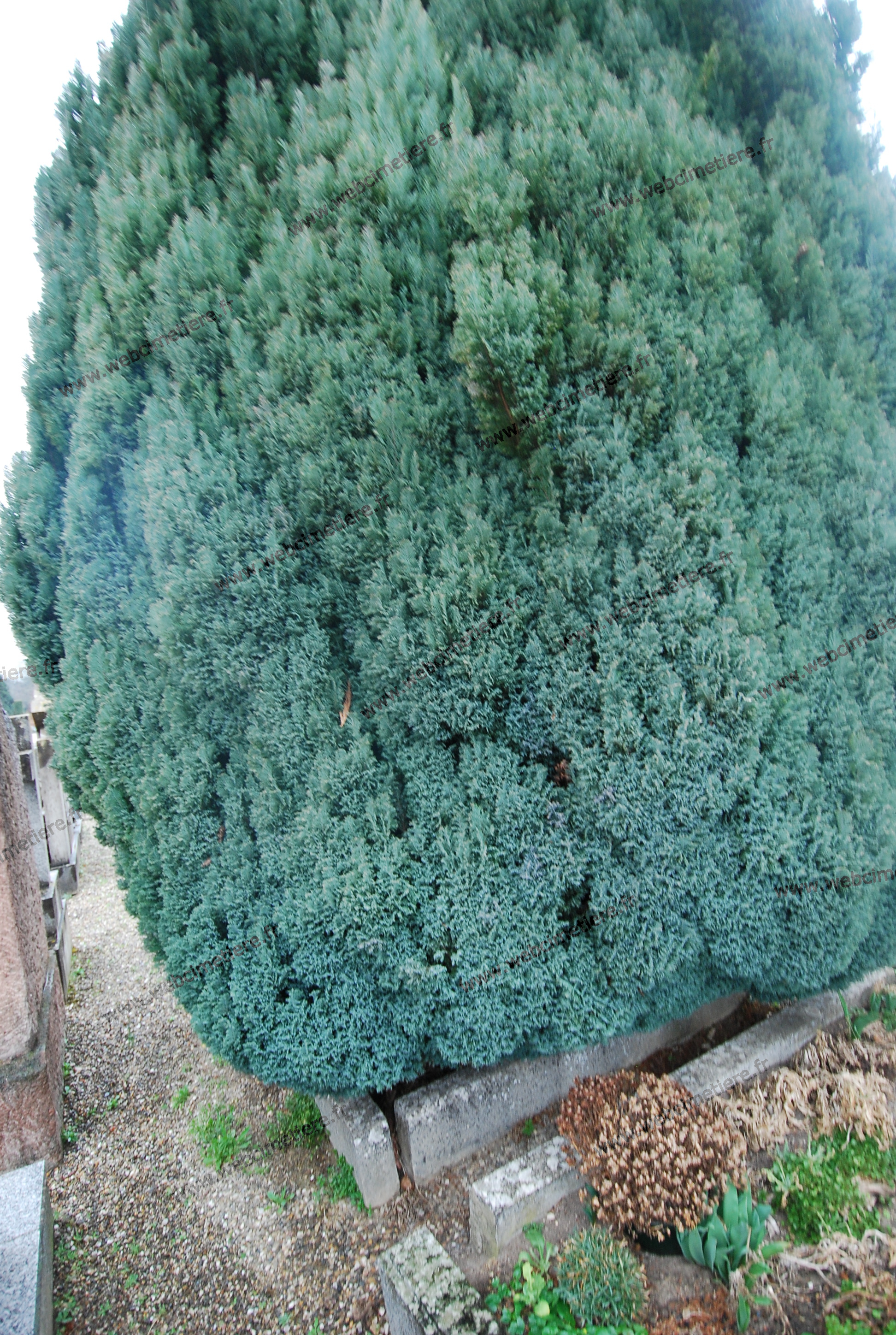 1-K-0805
